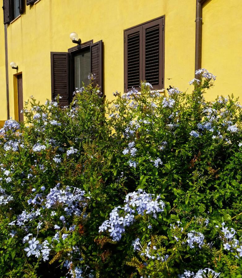 Vistazzurra B&B Ancona Exteriér fotografie