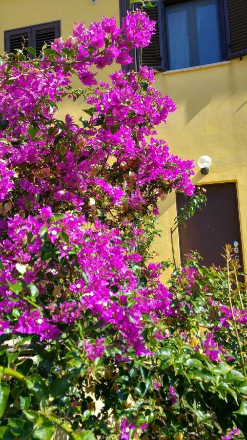 Vistazzurra B&B Ancona Exteriér fotografie